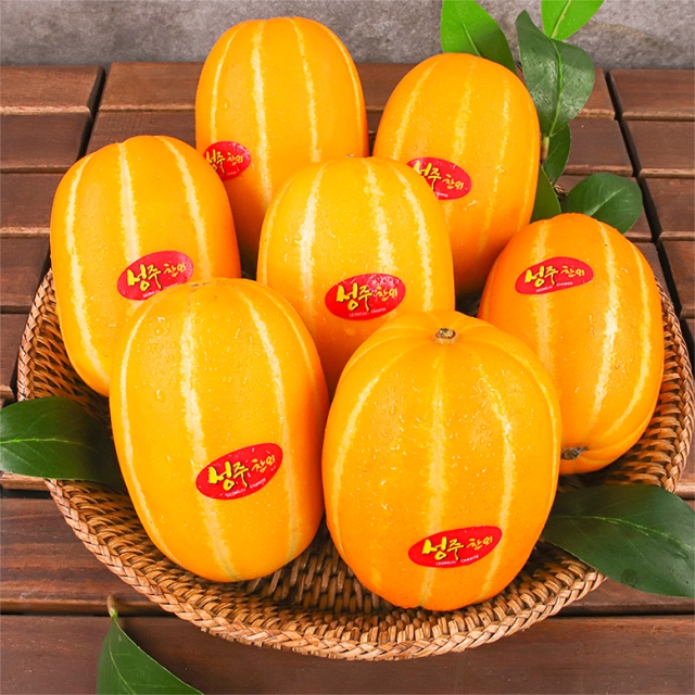 [⭐10kg 19,900원] 아삭함과 달콤함의 조화! 성주 벌꿀참외 10kg